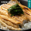 【ふるさと納税】A-066 対馬海の幸干物セット
