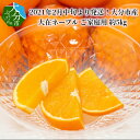 【ふるさと納税】2021年2月中旬より発送!大分市産 大在ネーブル ご家庭用 約5kg C09016【大分県大分市】