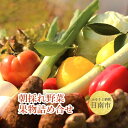 【ふるさと納税】 朝採れ野菜・果物詰め合わせ 旬の野菜や果物...