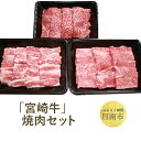 【ふるさと納税】 「宮崎牛」焼肉セット...