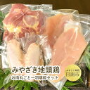 【ふるさと納税】 自社養鶏場 宮崎県認定ブランド! みやざき...