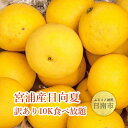 【ふるさと納税】 宮浦産日向夏 訳あり 10K食べ放題 ご家...