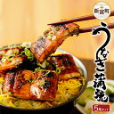 【ふるさと納税】 宮崎県産鰻使用 うなぎ蒲焼き 5尾セット 合計約700g〜750g 肝甘煮 1パック 約110g ウナギ うなぎ 国産 ギフト 送料無料