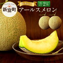 【ふるさと納税】 宮崎県新富町産 アールスメロン 2Lサイズ...