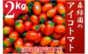 【ふるさと納税】予約受付 完熟ミニトマト アイコトマト 2k...