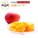 【ふるさと納税】完熟マンゴー 宮崎県産 (特大 4L×2玉)...