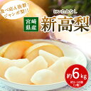 【ふるさと納税】早期予約受付 宮崎県産 新高梨 約6kg 5...
