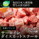 【ふるさと納税】<木城ブランチ 有田白木八重牧場育ちの陸の王者黒毛和牛サーロインダイスカットステーキ 250g> K20_0019 送料無料【宮崎県木城町】