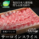 【ふるさと納税】<木城ブランチ 有田白木八重牧場育ちの黒毛和牛贅沢の極み芯柱サーロインスライス 400g> K20_0020 送料無料【宮崎県木城町】