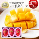 【ふるさと納税】レッドクイーンマンゴー3玉(合計1kg以上)...