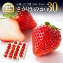 【ふるさと納税】宮崎県産苺!さがほのか合計1.6kg以上!平成31年1月から3月にかけて発送分 人気のイチゴ