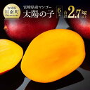 【ふるさと納税】※まもなく受付終了※完熟マンゴー「太陽の子」...