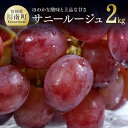 【ふるさと納税】ぶどう 季節限定 数量限定 季節限定 みやざきぶどう サニールージュ(2kg) 送料無料
