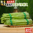 【ふるさと納税】【夏季・数量限定】「夏採れ」アスパラガス 鹿...