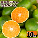 【ふるさと納税】【数量限定】【予約】国産!鹿児島県阿久根産の...