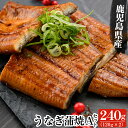 【ふるさと納税】鹿児島県産うなぎ蒲焼 Aセット 計240g ...
