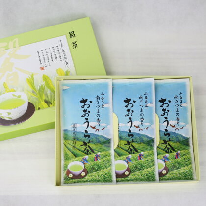 【鹿児島茶】大浦茶3本入りセット（100g×3）緑茶 送料無料