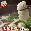 【ふるさと納税】鹿児島県志布志湾産!天然鱧しゃぶセット!はも...