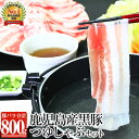 【ふるさと納税】鹿児島県産黒豚バラしゃぶを味わう!つけだし汁...