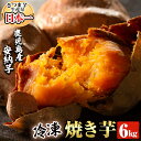 【ふるさと納税】鹿児島県産冷凍焼き芋安納芋6kg!鹿児島県産...