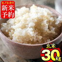 【ふるさと納税】≪2019年10月下旬〜11月下旬の間に発送...