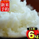 【ふるさと納税】≪2019年10月下旬〜11月下旬の間に発送...