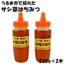 【ふるさと納税】うるま市で採れた「サシ草はちみつ」230g×2本セット