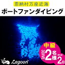 【ふるさと納税】恩納村万座近海ボートファンダイビング中級(AOW)3DIVE(2名様または2日)
