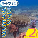 【ふるさと納税】ボートで行く!ファンダイビング(2Dive)