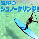 【ふるさと納税】SUPde シュノーケリング!