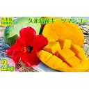 【ふるさと納税】【2021年発送】久米島印商店 久米島産キーツマンゴー約2kg