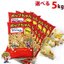ポップコーン豆 5kg バタフライ or マッシュルーム タイプ (500g×10袋)(約250人分)