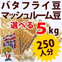 ポップコーン豆 5kg バタフライ or マッシュルーム タイプ (500g×10袋)(約250人分)