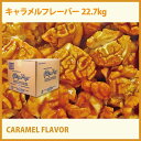 送料無料 業務用キャラメルフレーバー キャラメルシュガー 22.7kg GOLD MEDAL