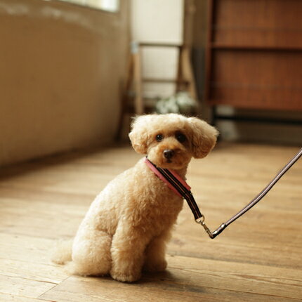 【訳あり品】フレッシュストライプハーフチョーク　30 ハーフチョーク 中型犬ハーフチョーク 中型犬 首への負担を軽減！小〜中型犬、長毛のワンちゃんにもお勧めです