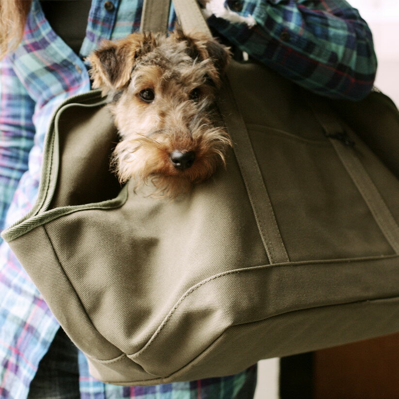 スクエアトート　 Lサイズ犬用キャリーバッグ キャリーバック carry bag