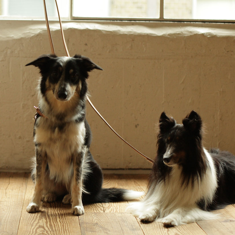 中・大型犬用　ヌメリングリード　L 犬用 革 リード 犬用品