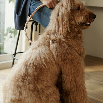 【人気のある】 リメイク 仕方 犬 服,犬 服 ブランド 国内出荷 蔵払いを一掃する