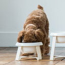 pecolo Food Stand S 陶器 フードボウルスタンド 犬 フードボウル