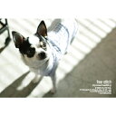 ¡Úfree stitch¡Û¡Ú2012 S¡¦S¡¡¥Ý¥¹¥È¥«¡¼¥É¡Û¥¹¥à¡¼¥¹¥Á¥ï¥ï