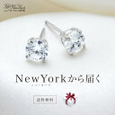 【Xmas特別クーポン配布中】★ニューヨークから届く★クリス...