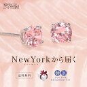 【ニューヨークから届く!】ピアス レディース シンプル プラ...