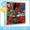 スパイダーマン アメリカ インテリアパネル インテリア 雑貨 イラスト コラボ グッズ 絵画 絵 壁掛け 壁飾 アート パネル フレーム デザイン キャンバス 塩系 帆布 布 画材 アートフレーム 男前 マーベル【送料無料/メーカー直送代引支払不可】