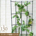 園芸 お花のアスレチック 巻き巻き トレリス 幅60cm×高さ150cm ガーデニング 家庭 菜園 庭 ベランダ 簡単 設置 組立