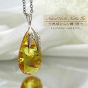 【一点物】 天然琥珀 アンバー ペンダントトップ しずく型 黄色 イエロー ネックレス 首飾り necklace 植物の化石 樹脂の化石 リトアニア産 長寿 太陽 天然石 パワーストーン amber【送料無料】 カワセミ かわせみ