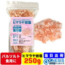 【ヒマラヤ岩塩 250g】GSPOWER 食用 バスソルト クリ