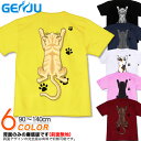 キッズ 猫 Tシャツ ネコ 子猫 ペット 肉球 にくきゅう 可愛い 猫グッズ 半袖 90 100 110 120 130 140cm アメカジ キュート 足跡 お笑い系 ネタ系 グラフィティ サイズ 【GENJUブランド】 Mischievous cat
