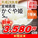 【お得なクーポン配布中!】【送料無料】平成28年産 精米 宮城県東松島産かぐや姫 5Kg 数量限定のプレミアム米
