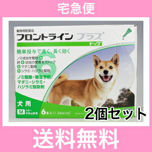◎【宅急便・送料無料】犬用　フロントラインプラス　M（10〜20kg未満）6本入　[2個セット]