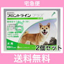 ◎【宅急便・送料無料】犬用　フロントラインプラス　M（10〜20kg未満）6本入　[2個セット]